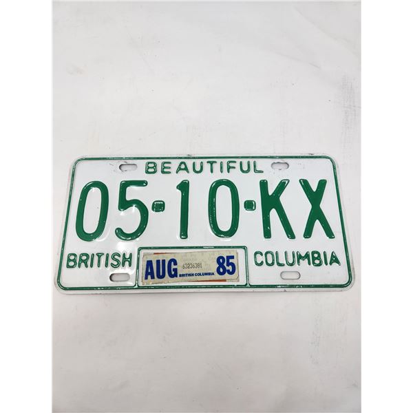 Vintage BC License Plate 9