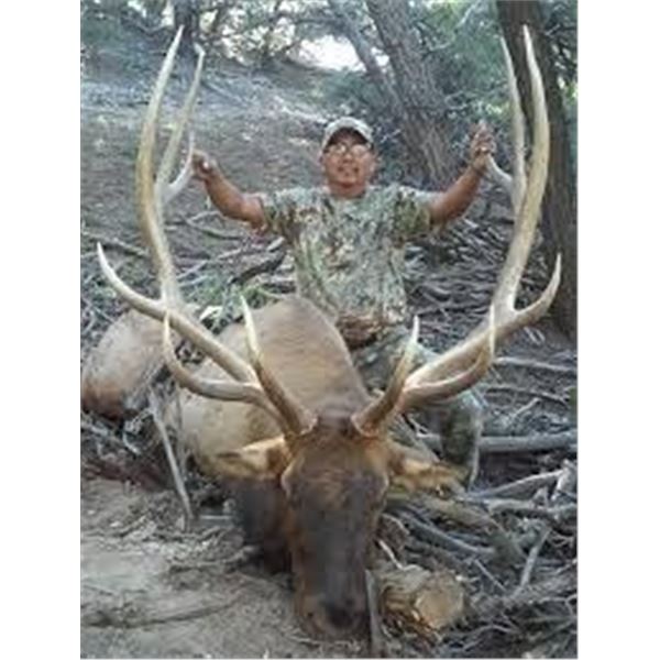 Navajo Elk Hunt