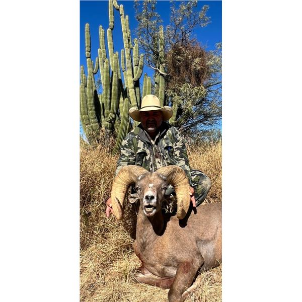 High Fence Desert Sheep Hunt in Sonora Mexico