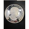 Image 3 : 2010 $250 Fine Silver 1 Kilo Banff Park Coin