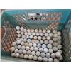 Image 3 : Quantity of Golf Balls 