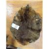 Image 5 : Tan Hide Raccoon, Tan Hide Beaver