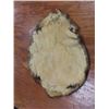 Image 6 : Tan Hide Raccoon, Tan Hide Beaver