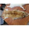 Image 2 : Tan Hide Artic Fox, Tan Hide Red Fox 