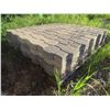 Image 5 : 200 Interlock Patio Bricks 
