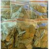 Image 1 : A Bag of (100 unsearched Lincoln Wheat Cents