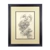 Image 1 : Lot #110: THE DARK CRYSTAL (1982) - Framed Published Hand-Drawn Brian Froud Mystics Concept Artwork