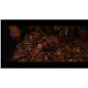 Image 9 : Lot #188: THE GOONIES (1985) - Assorted One-Eyed Willy's Treasure