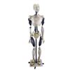 Image 2 : Lot #218: I, ROBOT (2004) - Full-Size Light-Up NS-5 Robot Display
