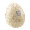 Image 2 : Lot #267: JURASSIC WORLD: FALLEN KINGDOM (2018) - Dinosaur Egg with QR Code