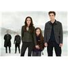 Image 6 : Lot #496: THE TWILIGHT SAGA: BREAKING DAWN-PART 2 (2012) - Bella Cullen's Final Battle Costume