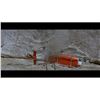 Image 8 : Lot #693: CLIFFHANGER (1993) - Destroyed Rescue Helicopter Model Miniature Tail Section