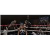 Image 11 : Lot #705: CREED (2015) - Adonis Creed's (Michael B. Jordan) Gloves with Stunt Boxing Costume Compone