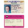 Image 1 : Lot #867: ESTELLE GETTY - Estelle Getty's Driver's License and SAG Card