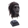 Image 2 : Lot #1094: PLANET OF THE APES (1968) - Chimp Mask
