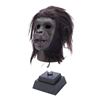 Image 3 : Lot #1094: PLANET OF THE APES (1968) - Chimp Mask