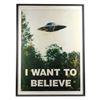 Image 1 : Lot #1485: THE X-FILES (1993-2018) - Framed Distressed "I WANT TO BELIEVE" Poster
