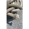 Image 2 : TUB OF MARINE ROPE