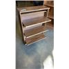 Image 2 : 3 DOOR SHOE STORAGE CUBBY