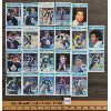 Image 1 : LOT OF 22 - 1982 O PEE CHEE TORONTO MAPLE LEAF HOCKEY CARDS