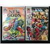 Image 1 : LOT OF 2 DC COMICS (THE NEW GODS)