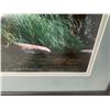 Image 2 : Framed Photograph of Grizzly Bear and Cubs by Johnny Johnson (22" x 28.5")