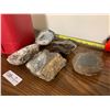 Image 4 : Assortment of Geodes