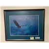 Image 1 : Framed Print of Bald Eagle by Ted Blaylock (23.5" x 18.5")