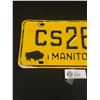 Image 2 : 1964 Manitoba "Buffalo" License Plate