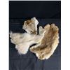 Image 2 : Various Fur Pelts