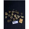 Image 2 : Collection Of Lions Club International Pins