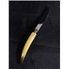 Image 2 : MCM Bakelite Bone Cutters Set