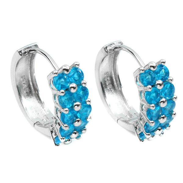 Natural Brazil Paraiba Blue Earrings