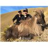 Image 2 : New Zealand Hunting Adventures  Youth Tahr Hunt -  for 2 Hunters 5 Days