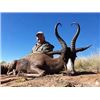 Image 1 : Vos & Co Safaris African Safari for a Springbuck slam for 2 hunters