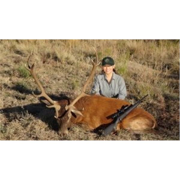 MG Hunting  Argentina Red Stag
