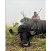 Image 1 : Paco Reistra Safaris - 5 day free range Buffalo hunt in Argentina