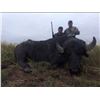 Image 2 : Paco Reistra Safaris - 5 day free range Buffalo hunt in Argentina