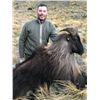 Image 3 : Telford Hunting NZ New Zealand Tahr Hunt for 1 hunter and 1 non