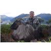 Image 5 : Telford Hunting NZ New Zealand Tahr Hunt for 1 hunter and 1 non