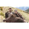 Image 6 : Telford Hunting NZ New Zealand Tahr Hunt for 1 hunter and 1 non