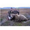 Image 4 : North Alaska Expeditions – Justin & Conner Johns  12 Day Alaskan Brown Bear Hunt in Togiak National 