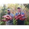 Image 5 : North Alaska Expeditions – Justin & Conner Johns  12 Day Alaskan Brown Bear Hunt in Togiak National 