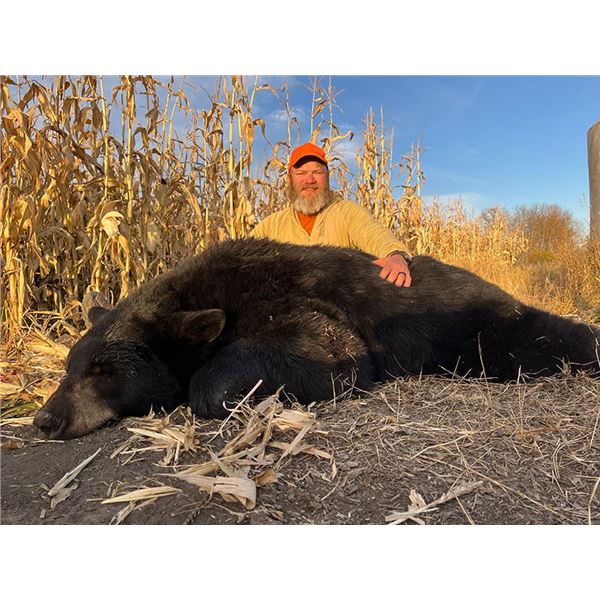 Timberlost  Saskatchewan Bear Hunt