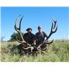 Image 1 : Paco Reistra Safaris - 5 day free range red stag hunt in Argentina