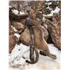 Image 2 : Pine Valley Outfitters 5 Day Mountain Lion hunt for 1 Hunters