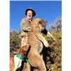 Image 3 : Pine Valley Outfitters 5 Day Mountain Lion hunt for 1 Hunters