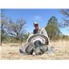 Image 1 : Erwins Outdoors 3 Day Mexico Goulds Turkey for 2 Hunters