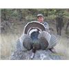 Image 2 : Erwins Outdoors 3 Day Mexico Goulds Turkey for 2 Hunters
