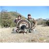 Image 3 : Erwins Outdoors 3 Day Mexico Goulds Turkey for 2 Hunters